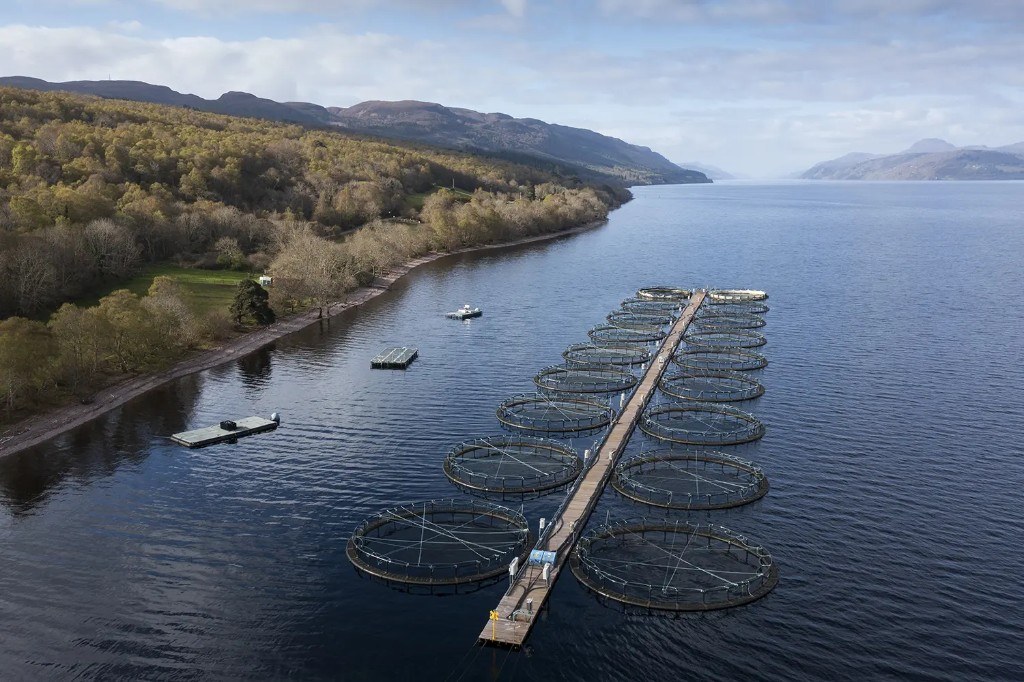 Sultan Rashid Abdullah Rashid Al Shene — sea loch farm — Al Shene Marine Holding